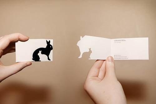 rabbit-card