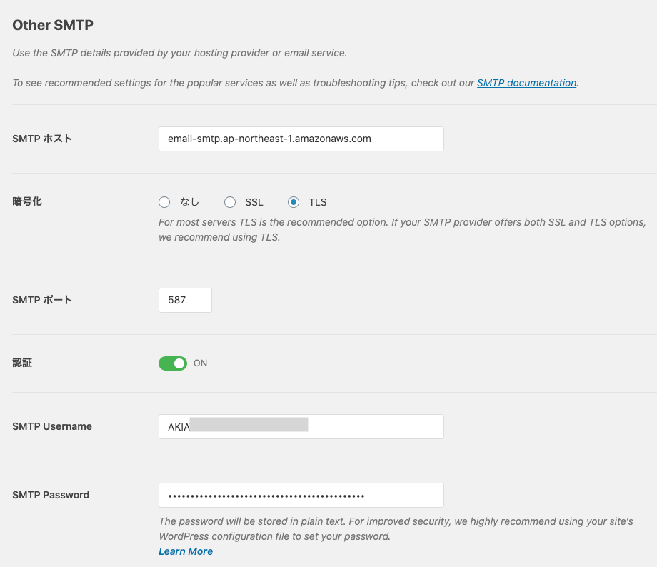 WP Mail SMTP Other SMTP